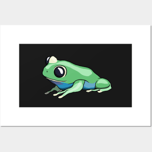 Blue Bellied Tree Frog Posters and Art